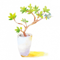 盆栽插畫.png 盆栽插畫.png